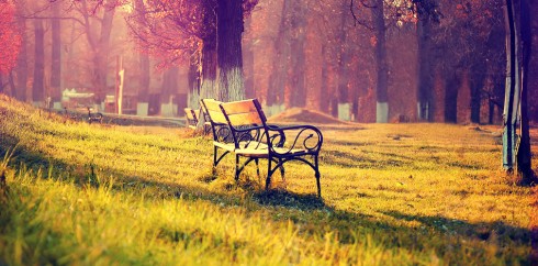 赋能企业腾飞的呼死你软件